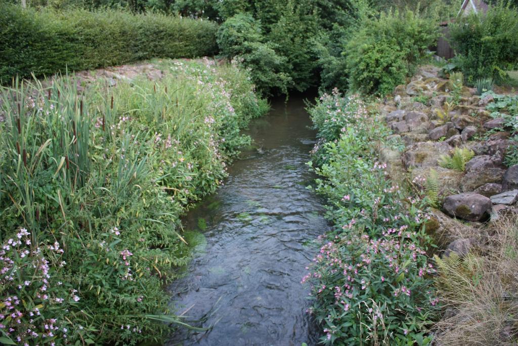 Gite Du Moulin Uhrwiller Экстерьер фото