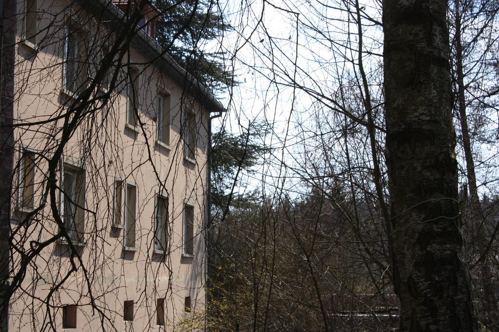 Gite Du Moulin Uhrwiller Экстерьер фото